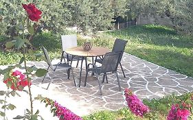 The Byzantine Wall House