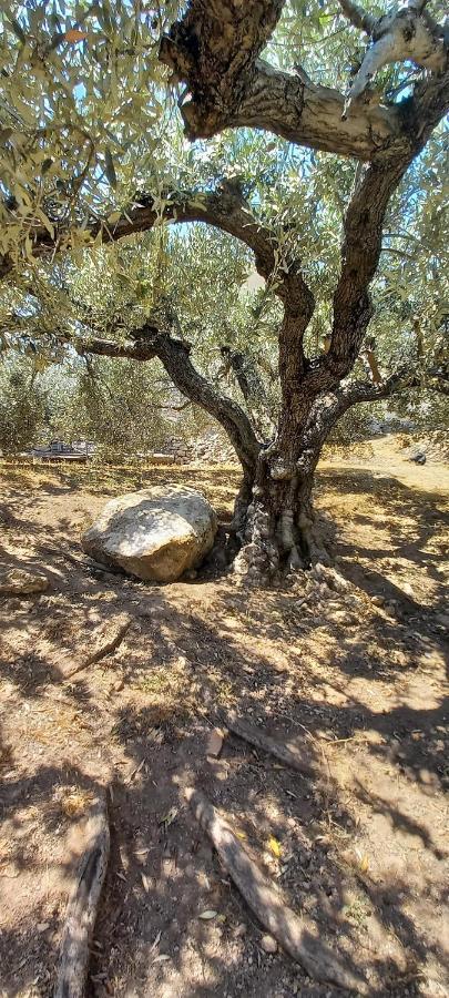 The Byzantine Wall House Ίσθμια Εξωτερικό φωτογραφία